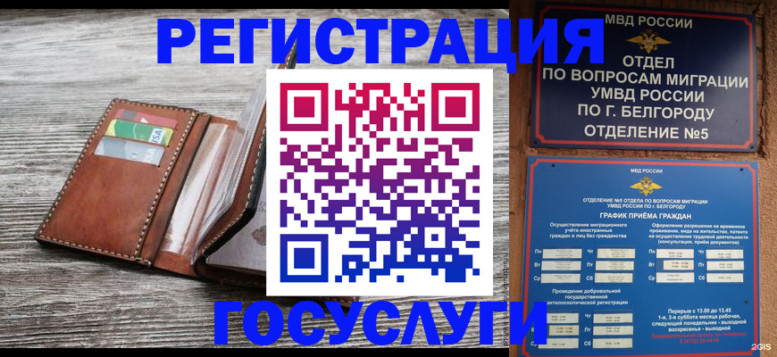 временная регистрация гарантия в Калмыкии
